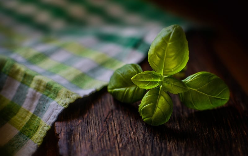 Mystical herbs