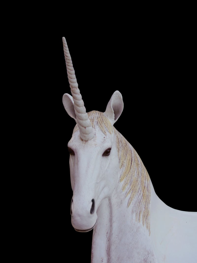 Unicorn Garden